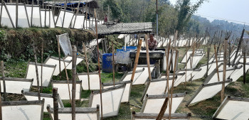 हाते कागजको व्यापार
